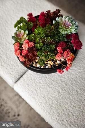 a view of a fruit basket