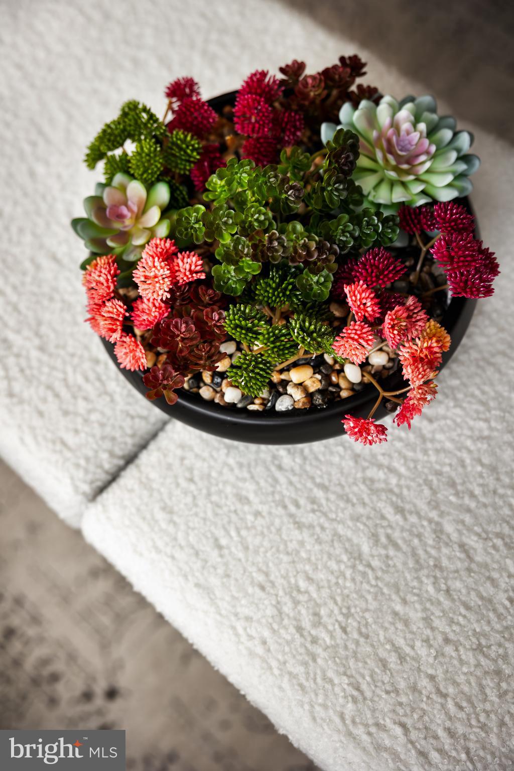 730 Bennys Beach Road Front Royal, VA 22630 - Photo 11 of 44 a view of a fruit basket