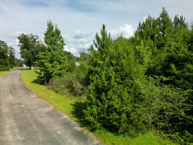 $35,000 | Lot 1 Shepp Drive, Chipley, FL 32428