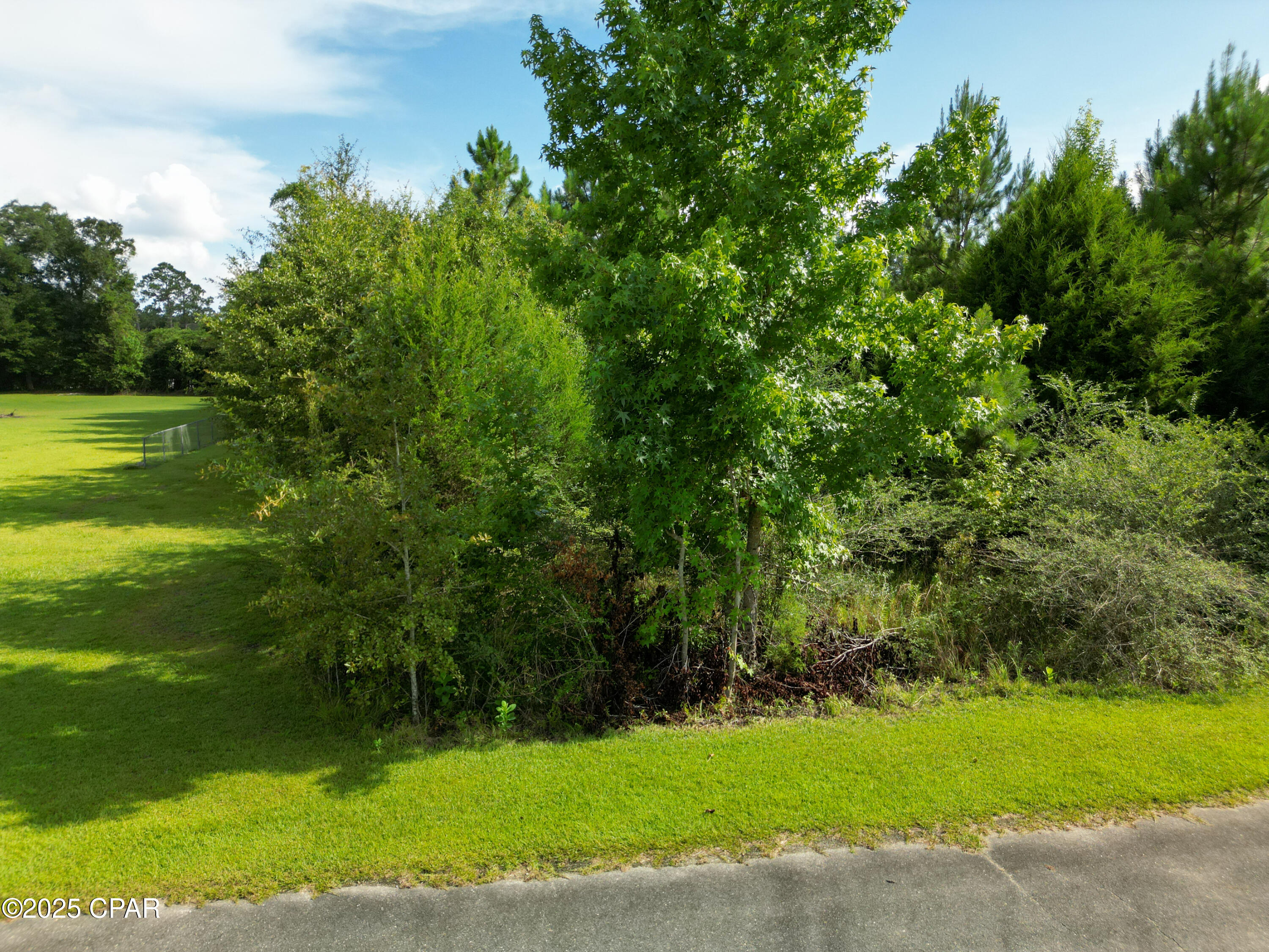 Lot 1 Shepp Drive Chipley, FL 32428 - Photo 8 of 14