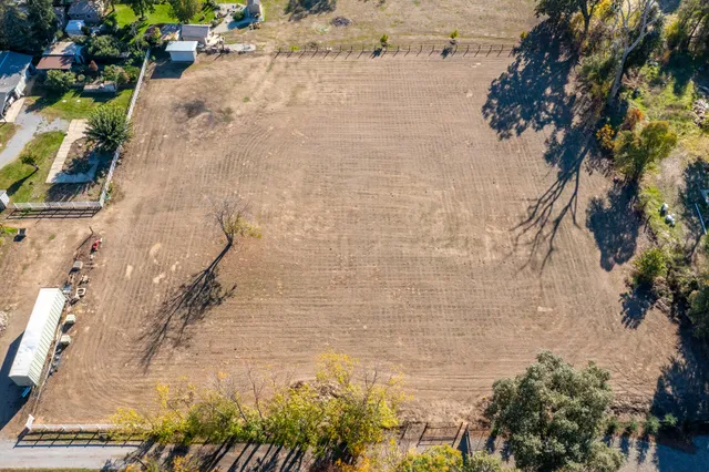 a close up of a vase of flowers