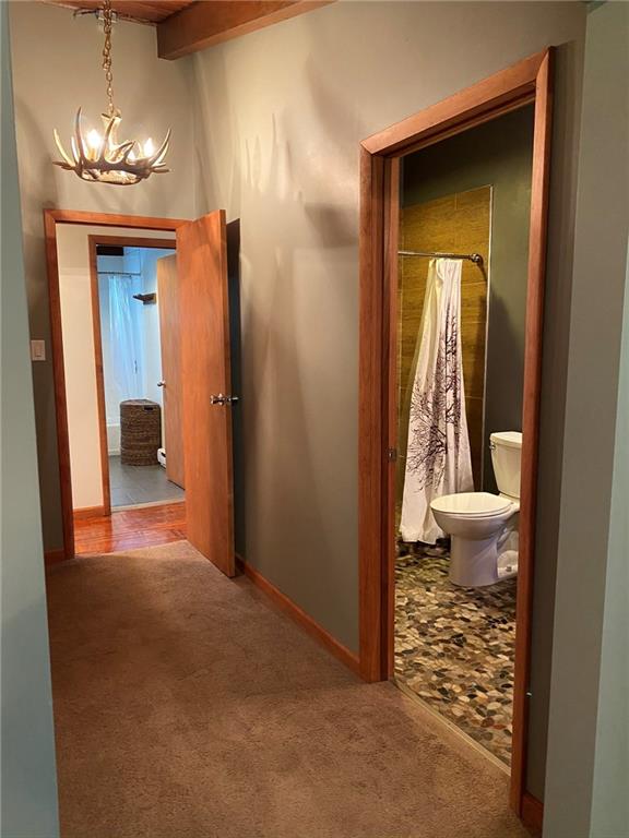 224 Snowshoe Road Acme, PA 15610 - Photo 13 of 25