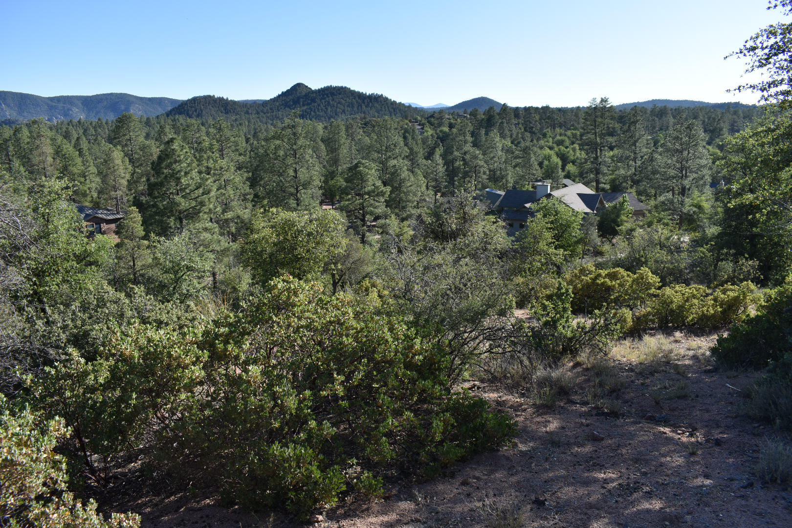 Lot 19 East Pine Ridge Drive Payson, AZ 85541 - Photo 5 of 7