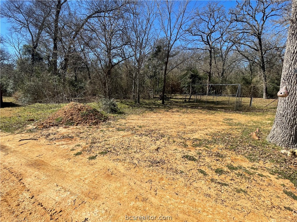 11320 Old Hearne Road Bryan, TX 77807 - Photo 16 of 26 a backyard of a house with large trees