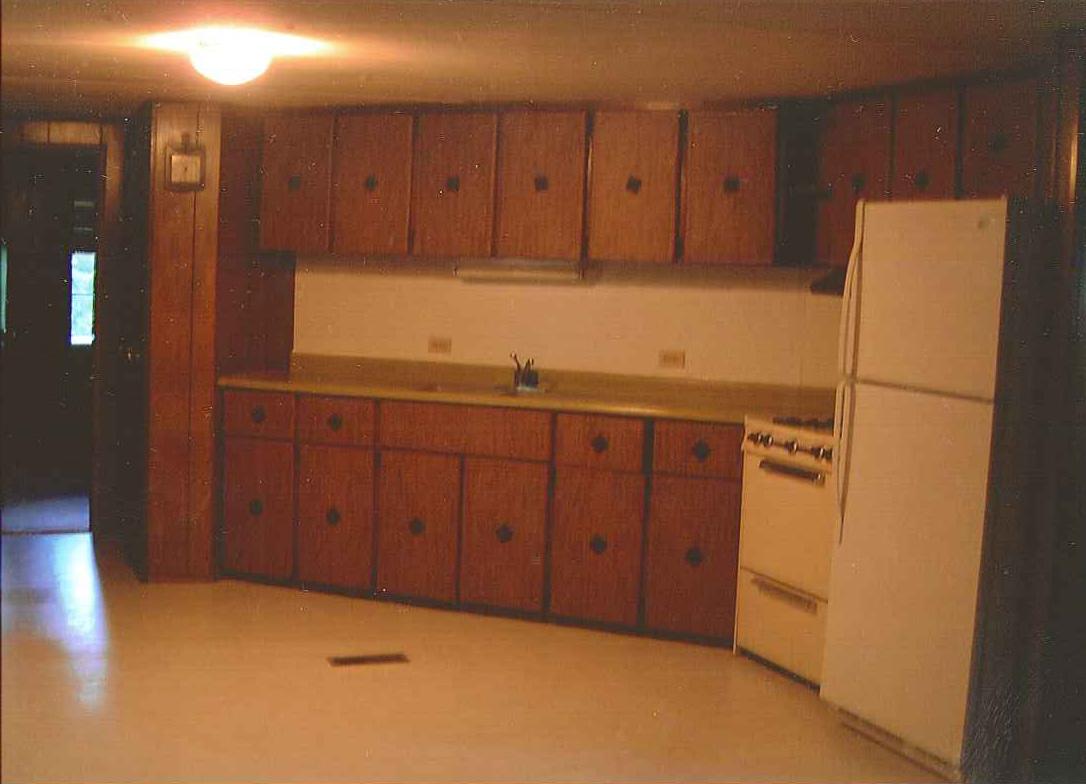 7677 Franklin Road Boones Mill, VA 24065 - Photo 3 of 7 Kitchen 2