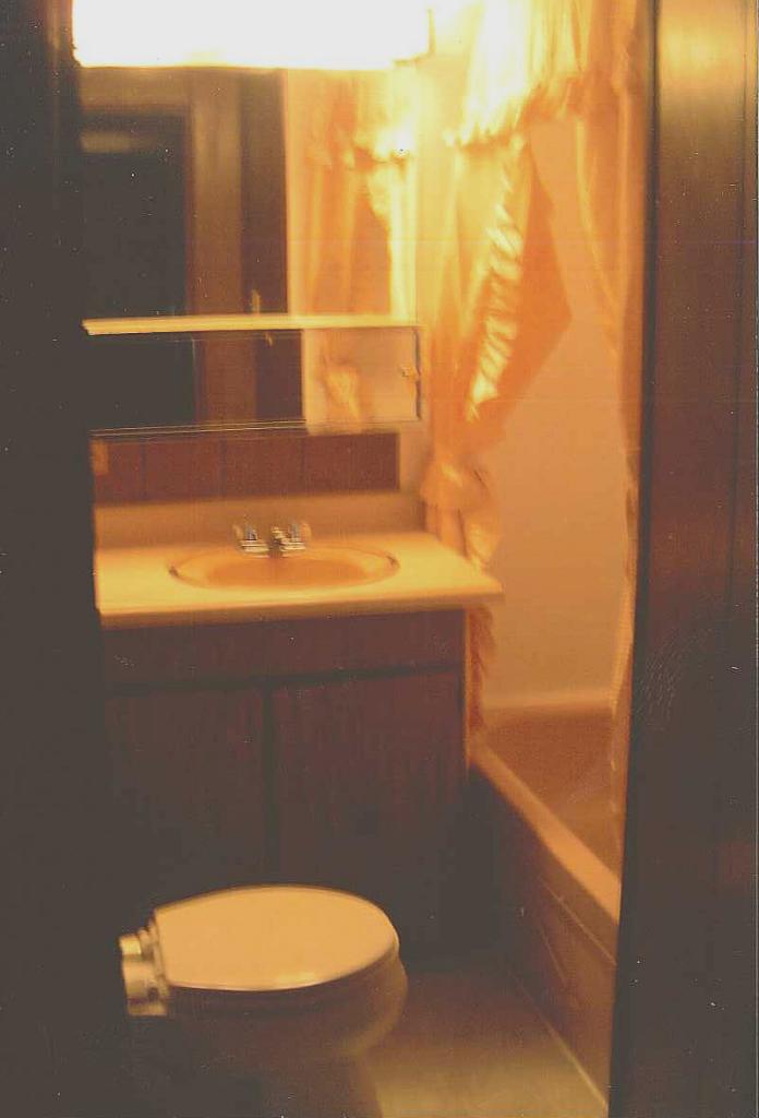 7677 Franklin Road Boones Mill, VA 24065 - Photo 6 of 7 Bathroom