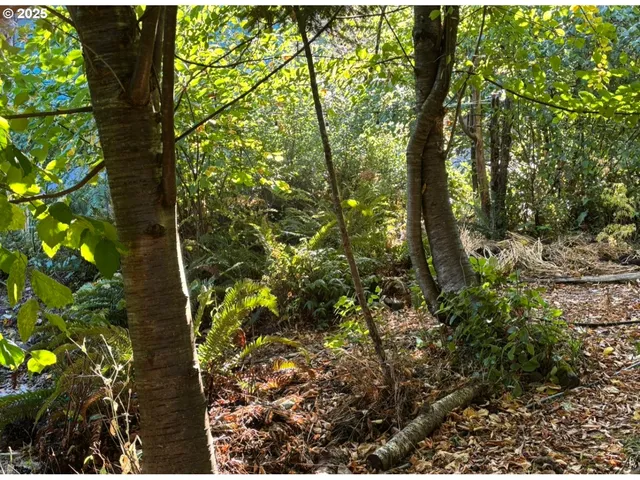 a backyard of a house