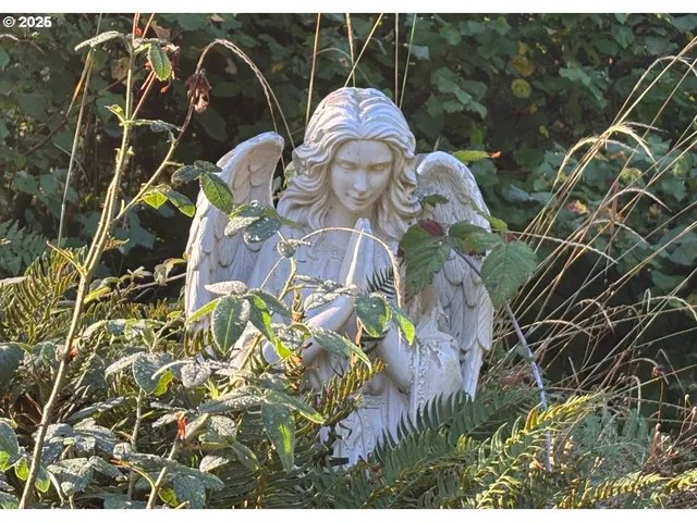 a view of a flower in a garden