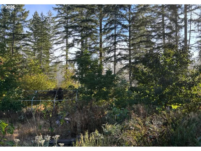 a close up of a plant in a garden