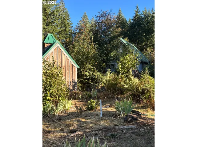 a view of a yard with plants and flowers