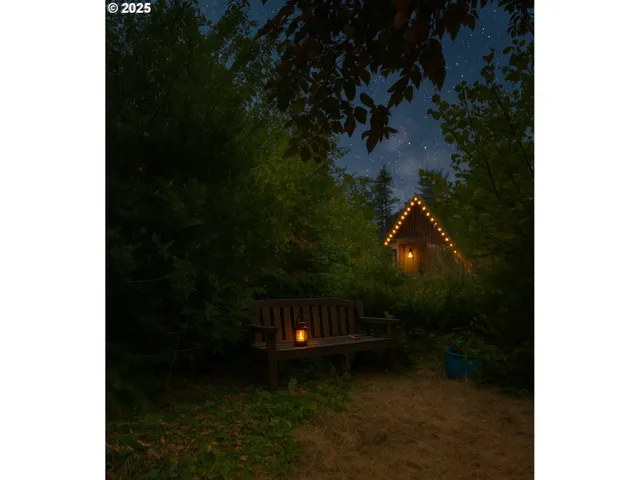 a close view of a yard