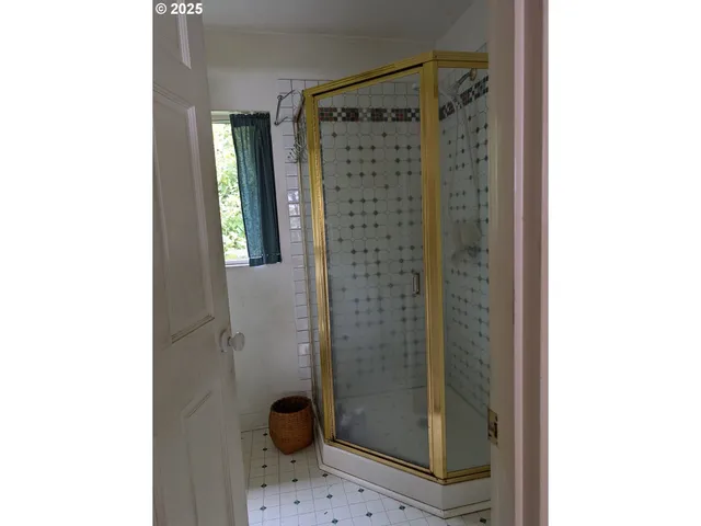 a view of a yard with plants and a trees