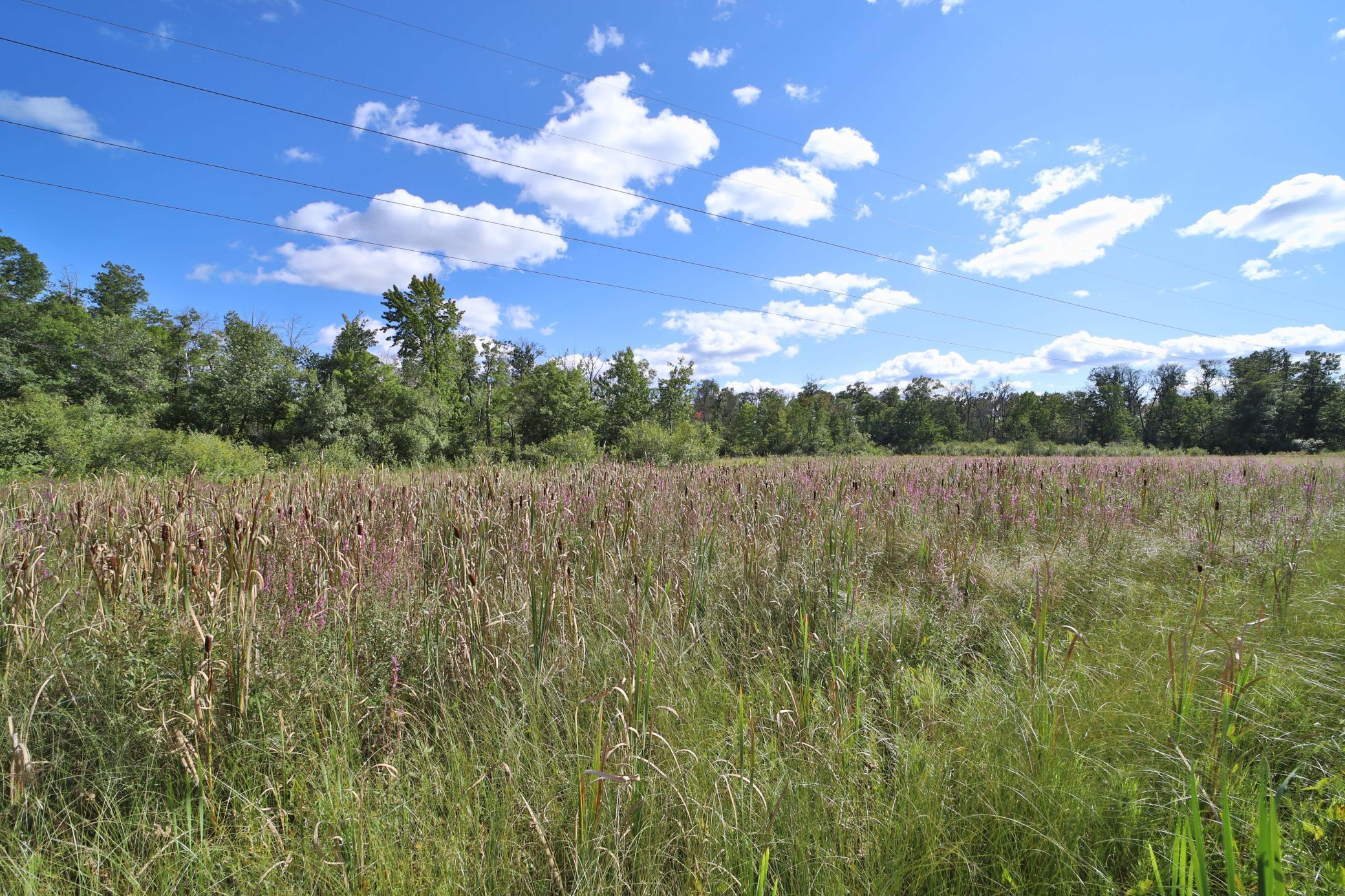 6699 Gould Gray Road North Brainerd, MN 56401 - Photo 11 of 17
