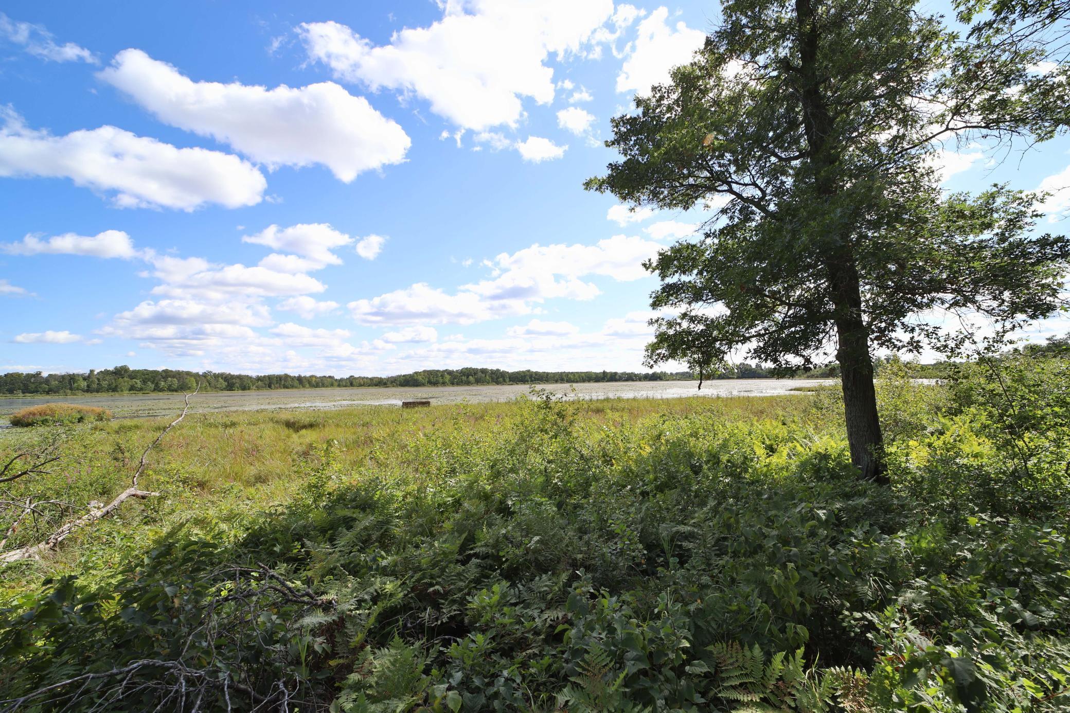 6699 Gould Gray Road North Brainerd, MN 56401 - Photo 13 of 17