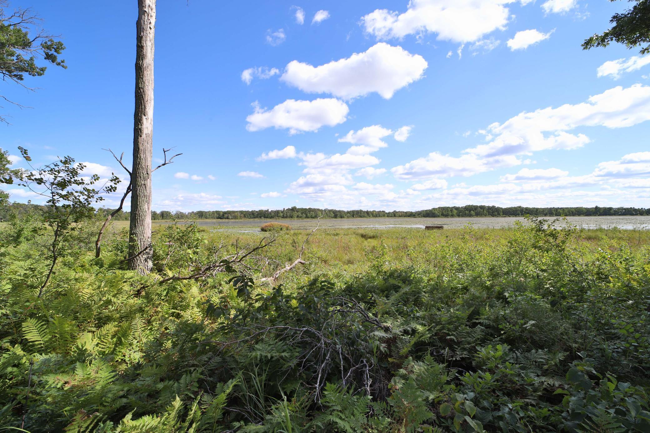 6699 Gould Gray Road North Brainerd, MN 56401 - Photo 14 of 17