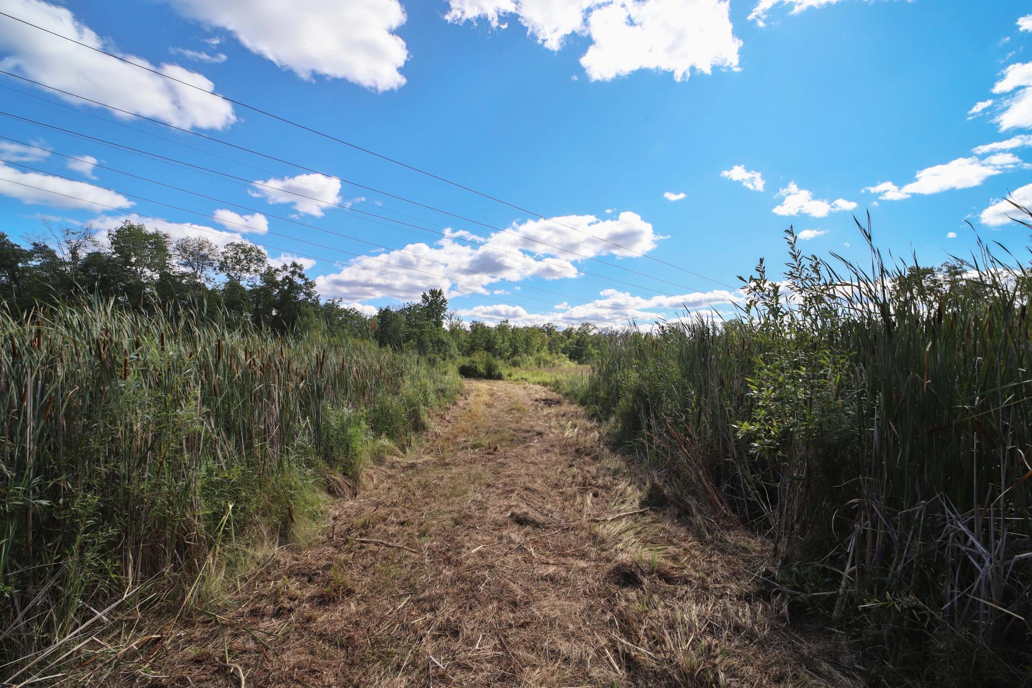 6699 Gould Gray Road North Brainerd, MN 56401 - Photo 2 of 17
