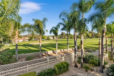 a view of a park with a large tree
