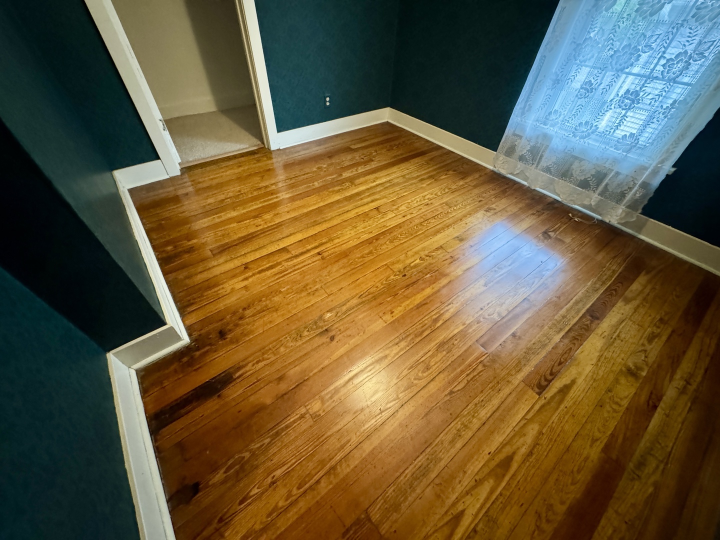 221 West Peru Street Princeton, IL 61356 - Photo 22 of 33 a view of wooden floor