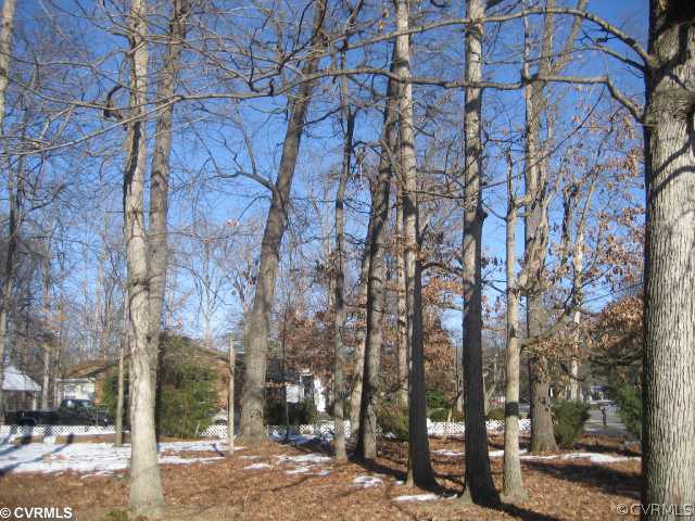 Ironington Rd Ironington Road Richmond, VA 23227 - Photo 1 of 2 Exterior Front