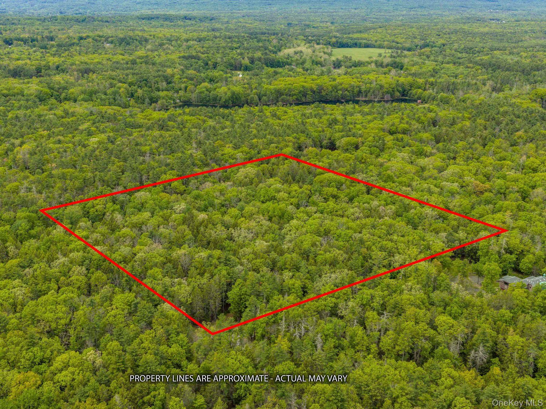 40 Mamoud Hills Road Kingston, NY 12401 - Photo 2 of 42 a view of a lush green field