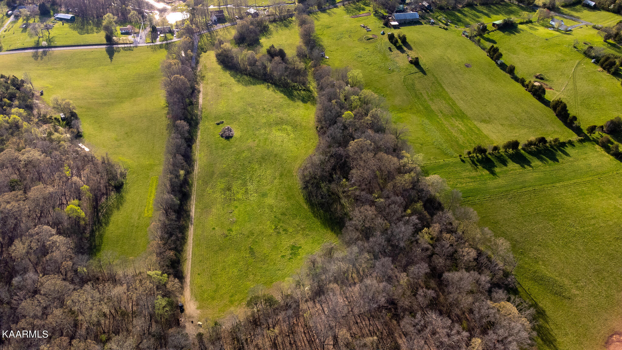 Harold Patterson Road Dandridge, TN 37725 - Photo 12 of 16 DJI_0159