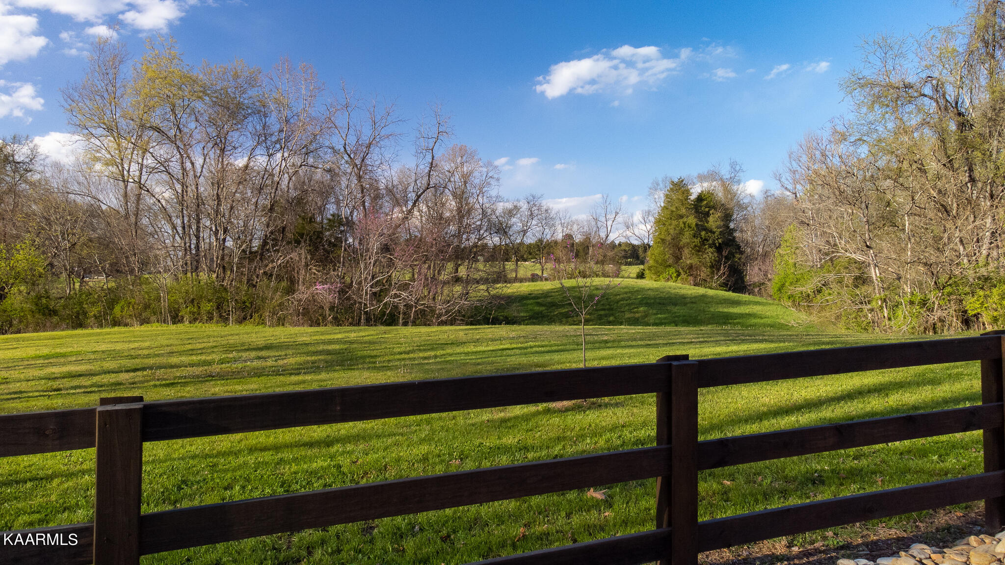 Harold Patterson Road Dandridge, TN 37725 - Photo 16 of 16 DJI_0169