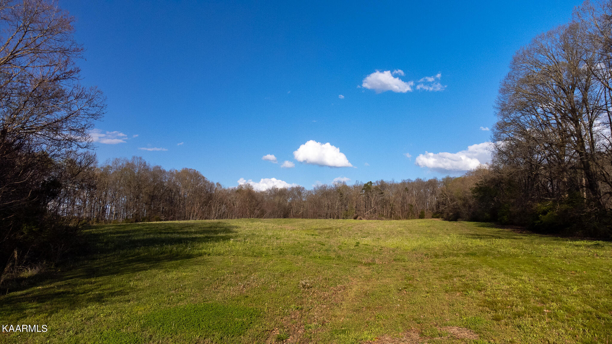 Harold Patterson Road Dandridge, TN 37725 - Photo 5 of 16 DJI_0180