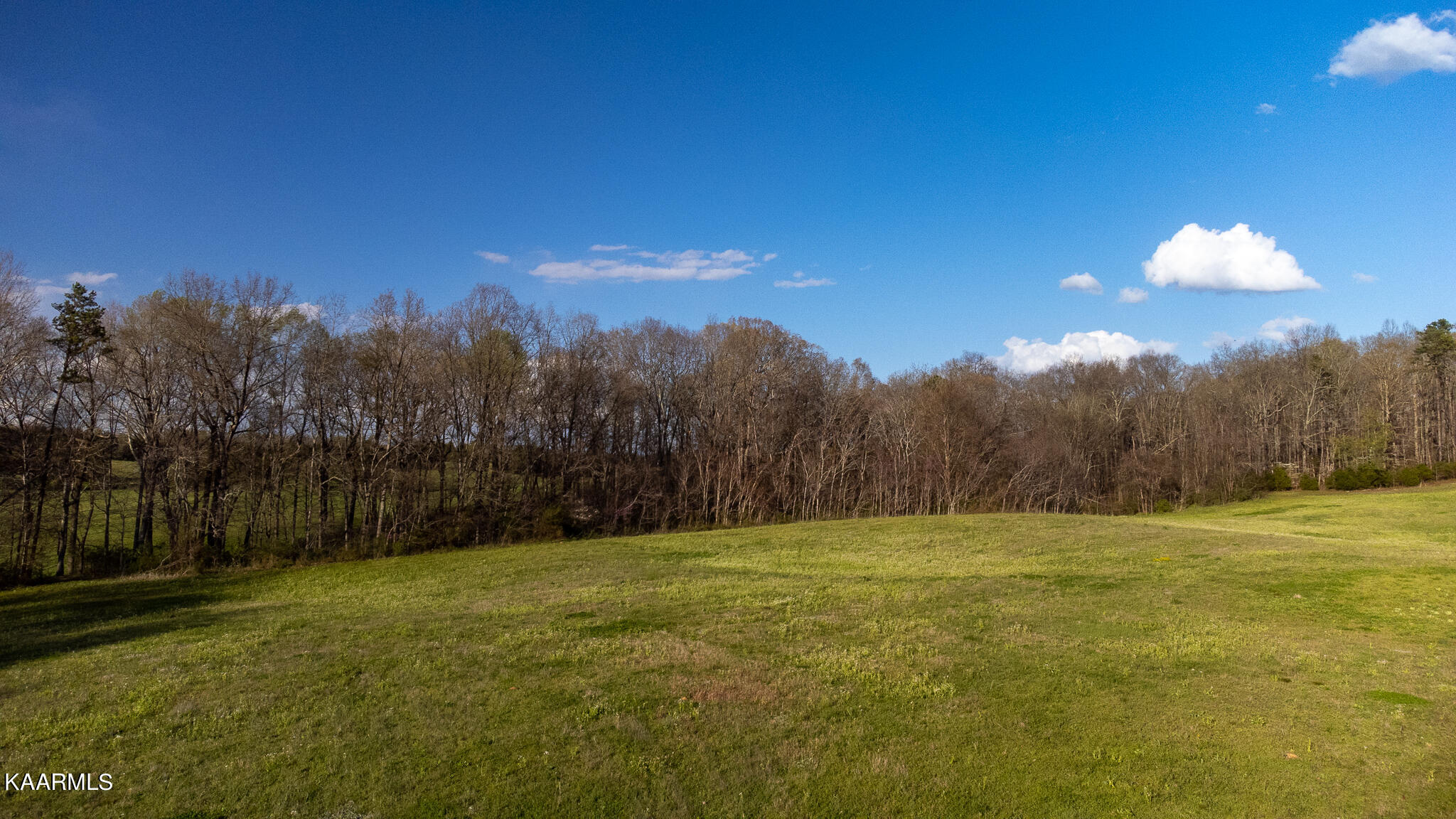 Harold Patterson Road Dandridge, TN 37725 - Photo 6 of 16 DJI_0183