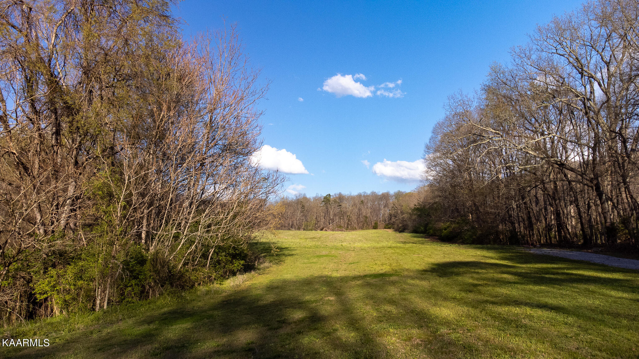 Harold Patterson Road Dandridge, TN 37725 - Photo 10 of 16 DJI_0179
