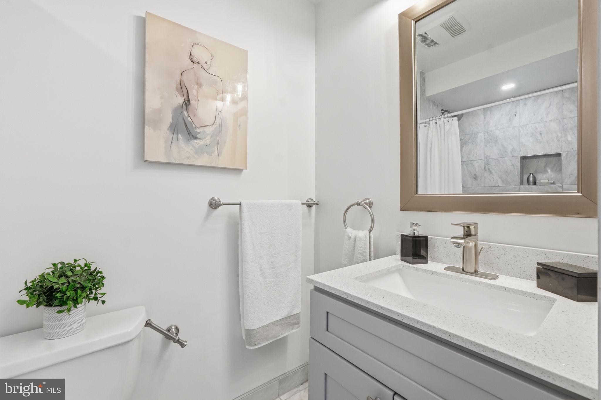 401 11th Street Southeast Washington, DC 20003 - Photo 33 of 38 Fourth full bathroom located in in-law suite