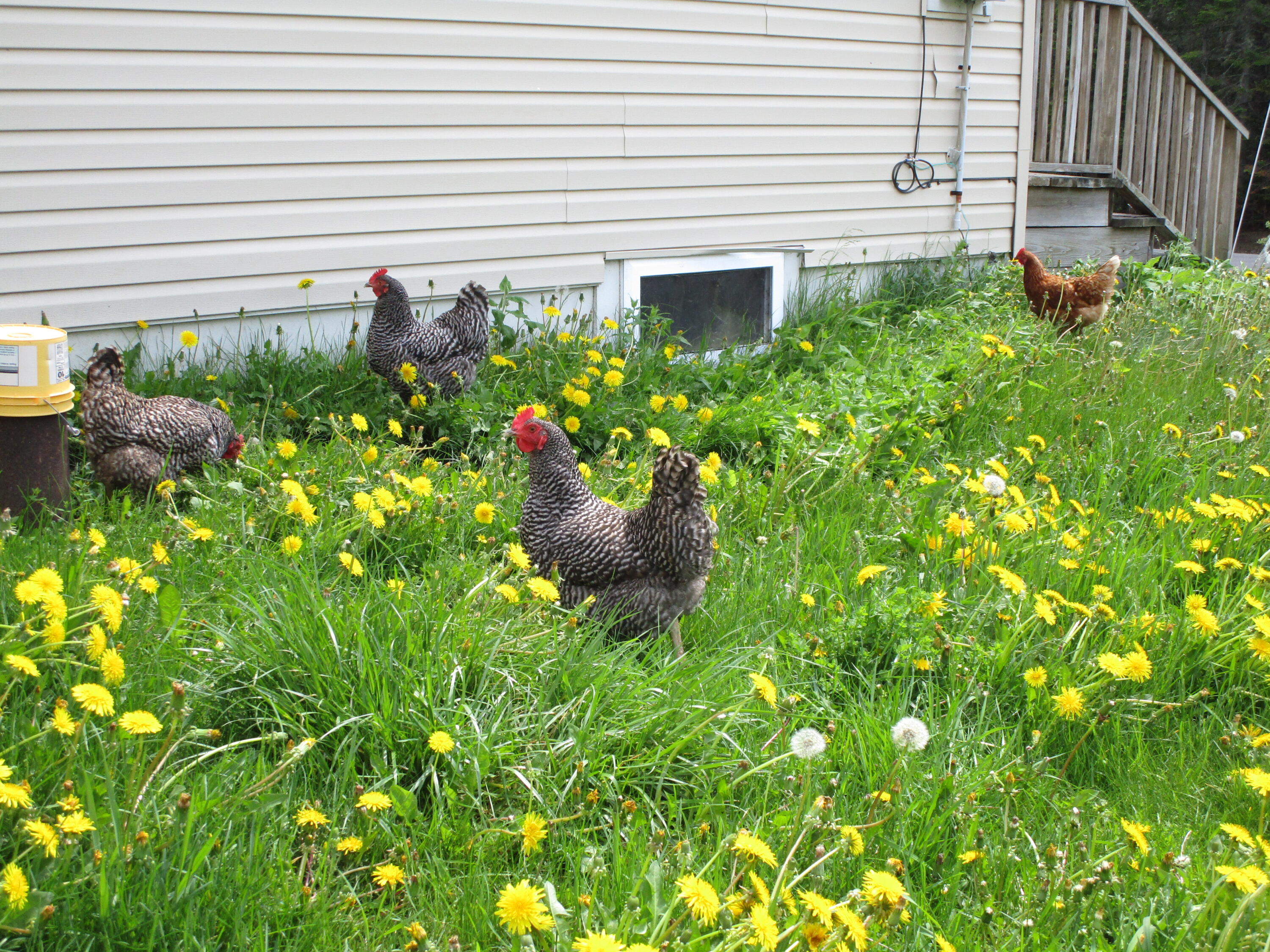 2913 State Road Mapleton, ME 04757 - Photo 10 of 28 IMG_5444