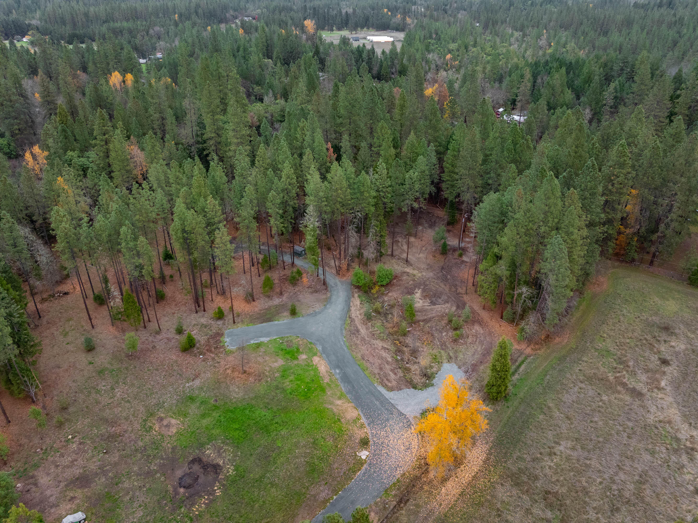 1740 Pleasant Creek Road Rogue River, OR 97537 - Photo 3 of 20 DRONE (6 of 7)