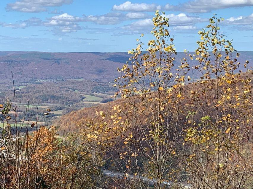 Lot 2 Window Rock Road, Unit 2 Dunlap, TN 37327 - Photo 5 of 11 WR Lot 2 - 5