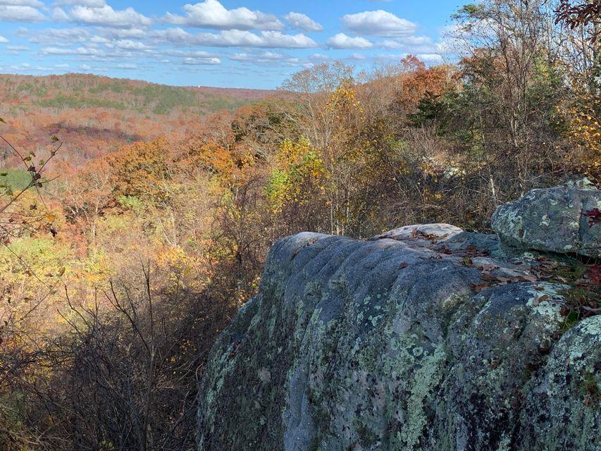 Lot 2 Window Rock Road, Unit 2 Dunlap, TN 37327 - Photo 7 of 11 WR Lot 2 - 6