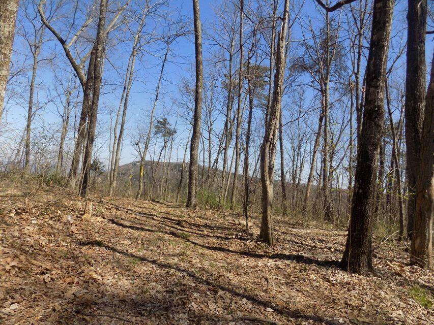 Lot 2 Window Rock Road, Unit 2 Dunlap, TN 37327 - Photo 9 of 11 WR Lot 2 - 10