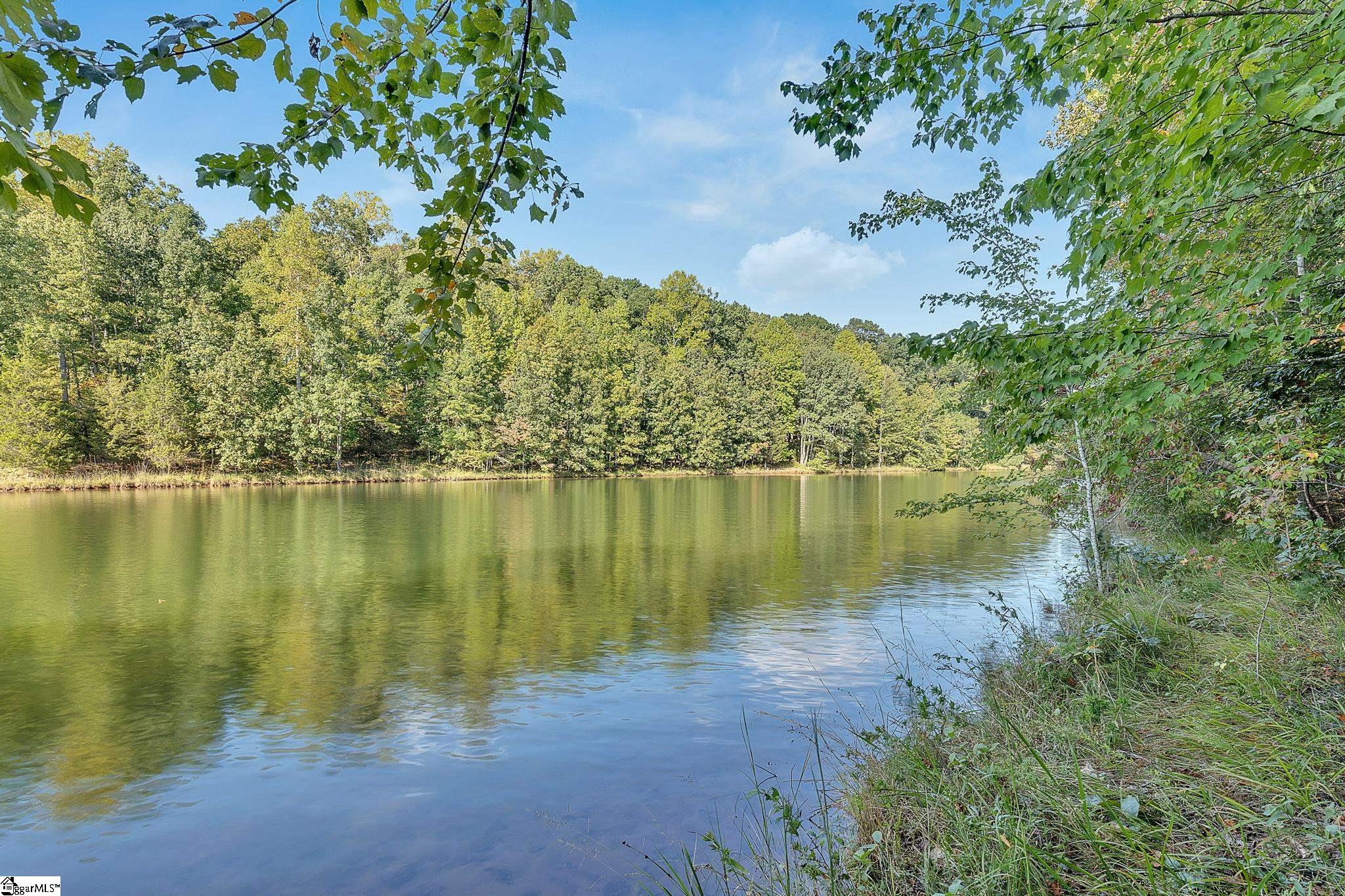 2494 Poole Road Greer, SC 29651 - Photo 32 of 34