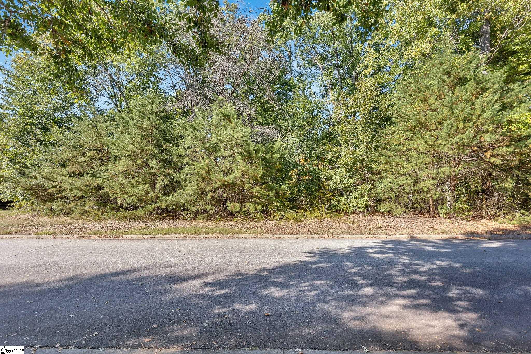 2494 Poole Road Greer, SC 29651 - Photo 8 of 34