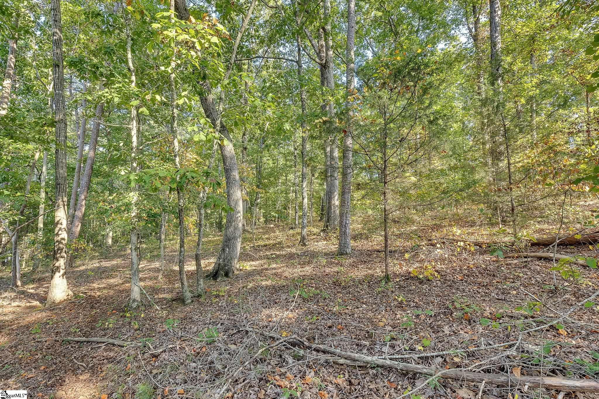 2494 Poole Road Greer, SC 29651 - Photo 9 of 34