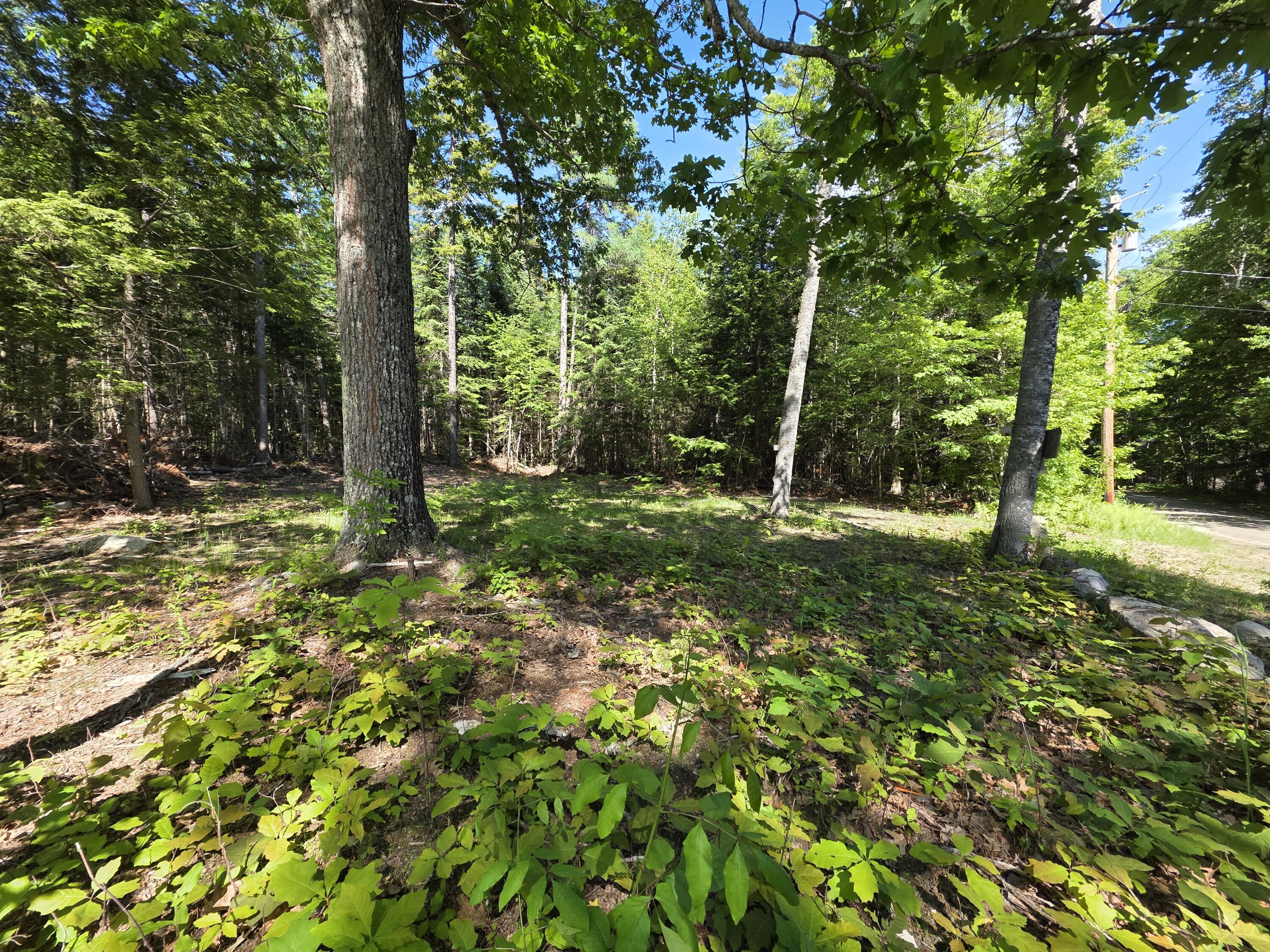 458 Point Road Ellsworth, ME 04605 - Photo 4 of 6