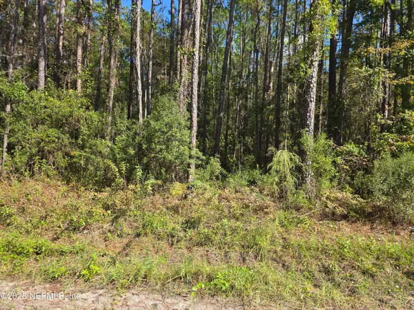 $178,000 | 0 Mc Laurin Road East, Jacksonville, FL 32256