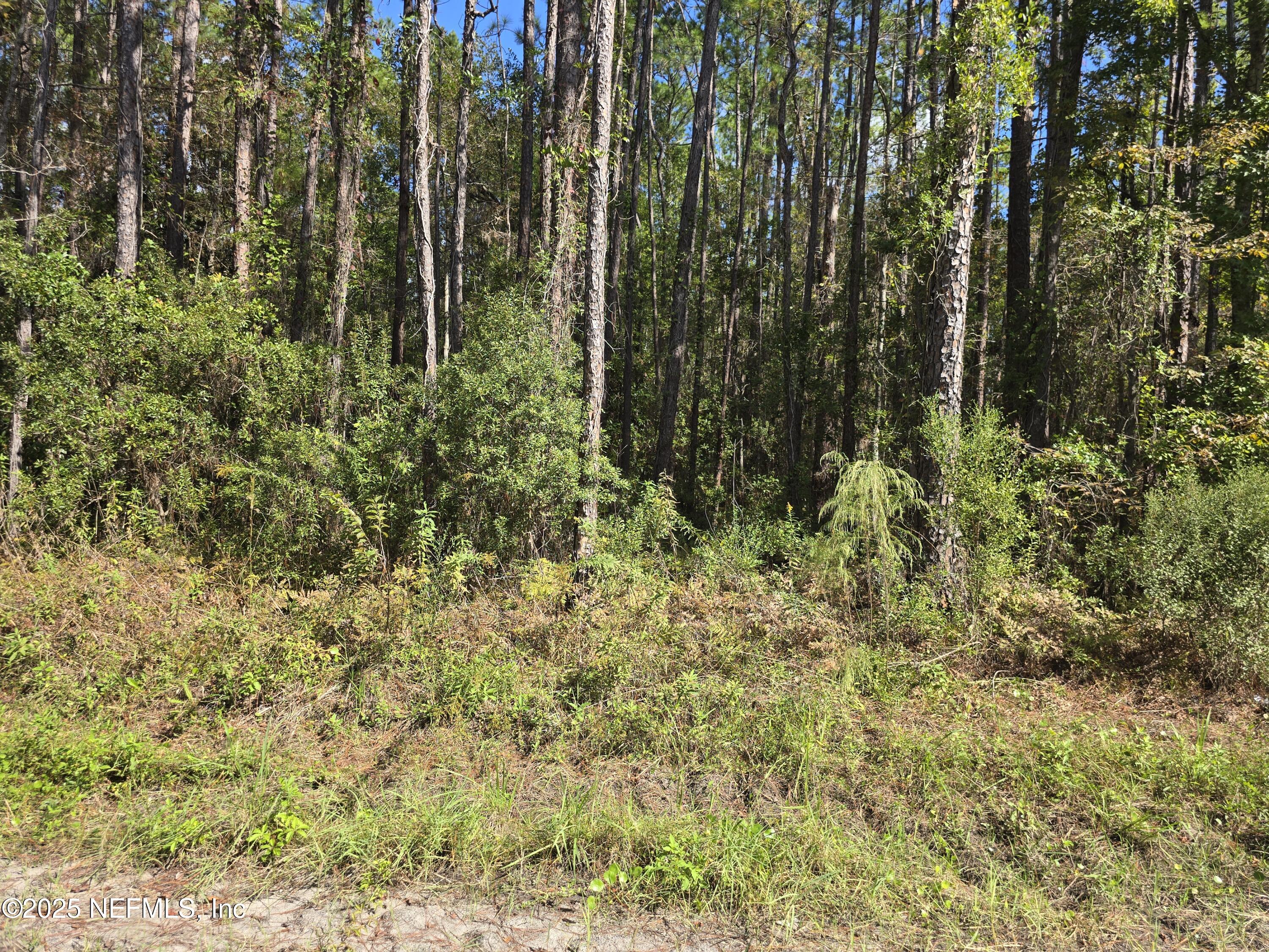 0 Mc Laurin Road East Jacksonville, FL 32256 - Photo 1 of 6 20251021_114748