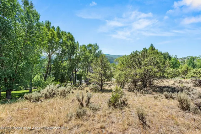 a view of a lush green hillside and houses