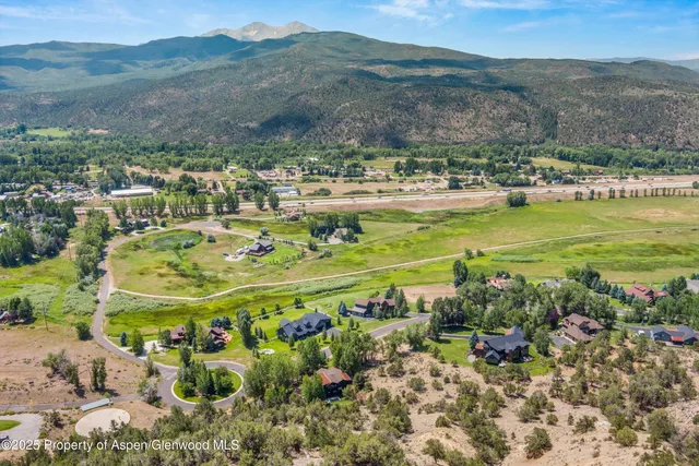 a view of a yard with plants