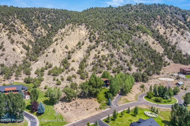 a view of a yard with potted plants