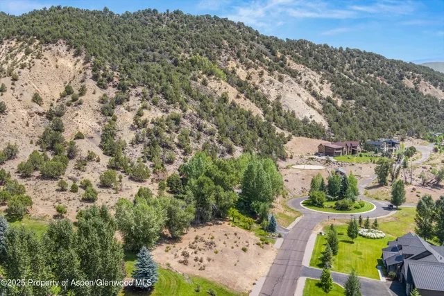 a view of a yard with a tree