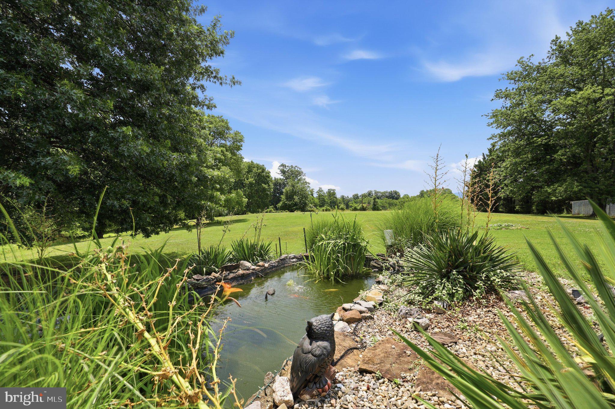 325 East Mountain Road Knoxville, MD 21758 - Photo 51 of 54 Koi Pond