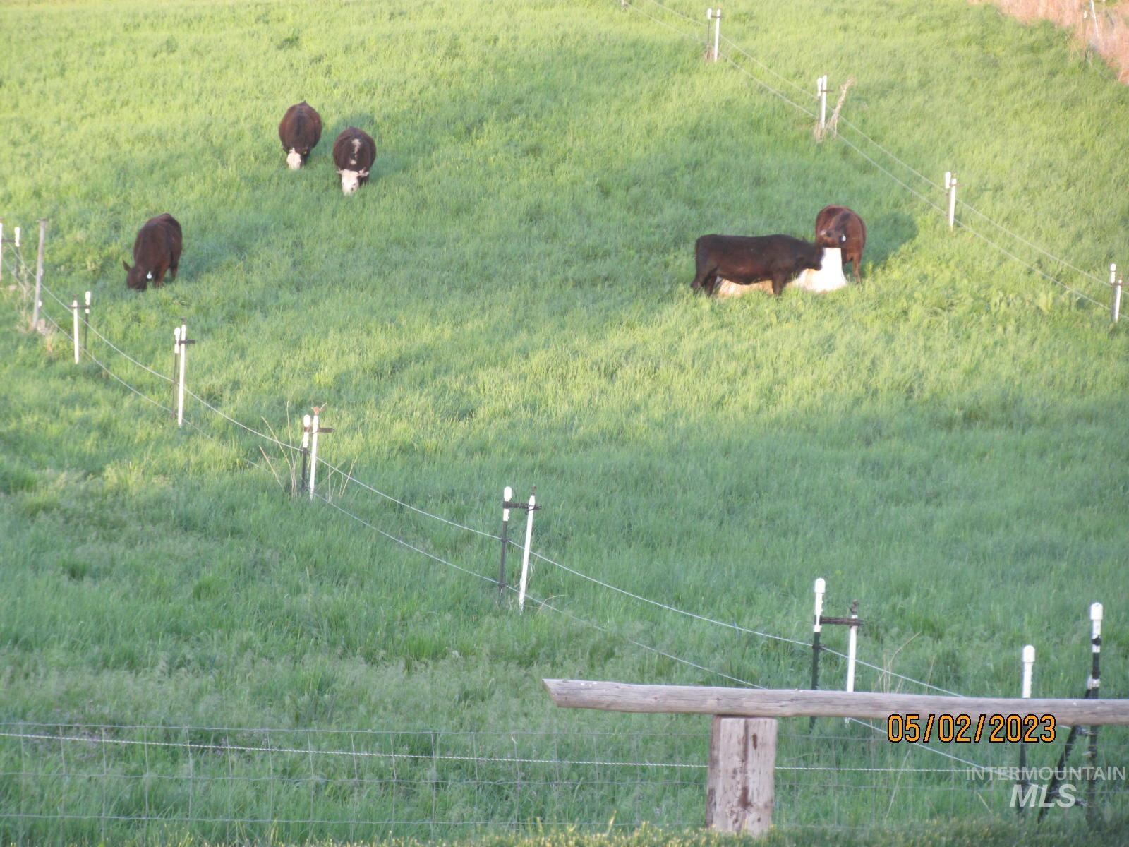 246 Evergreen Road Ontario, OR 97914 - Photo 11 of 31