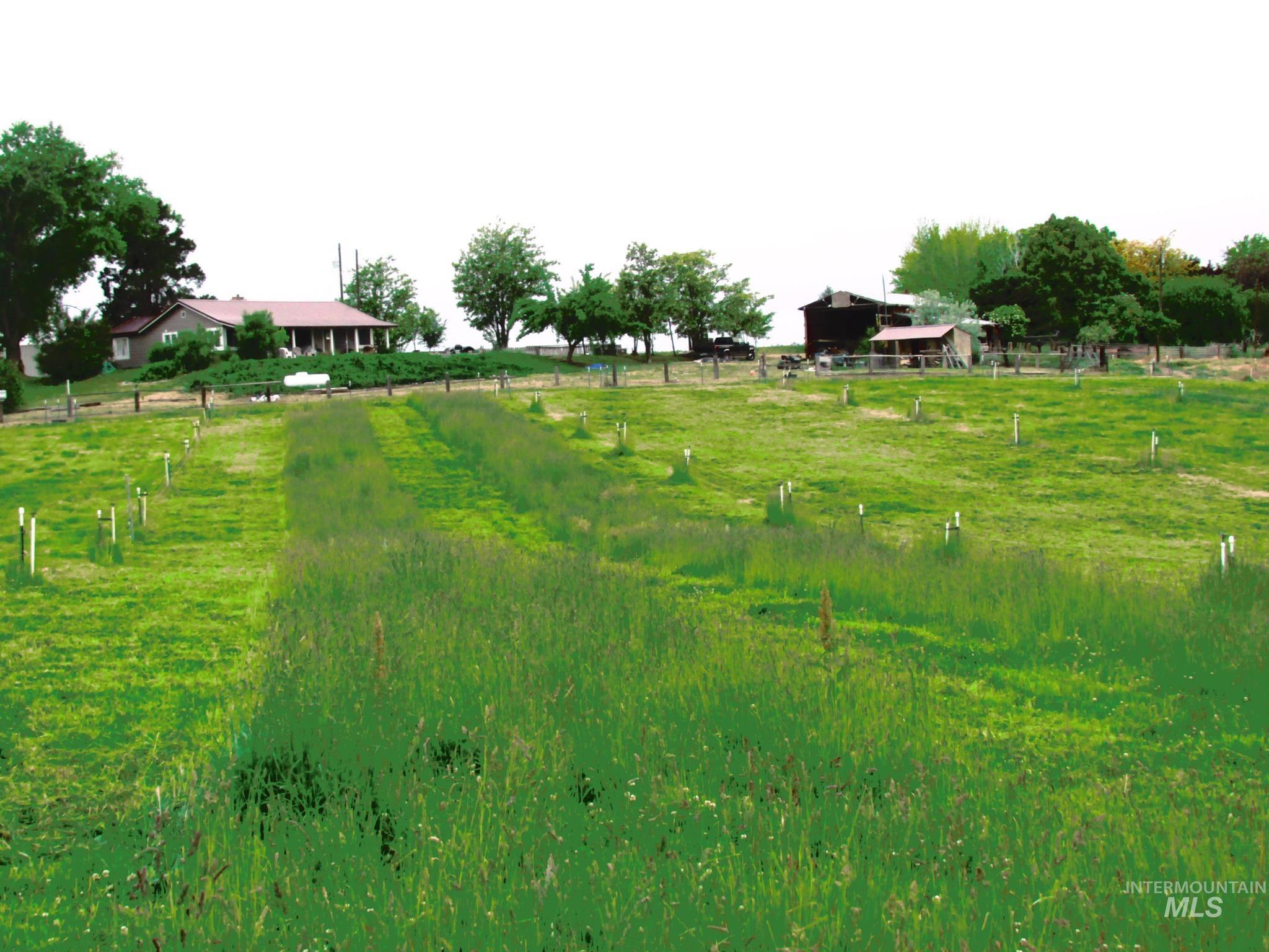 246 Evergreen Road Ontario, OR 97914 - Photo 2 of 31