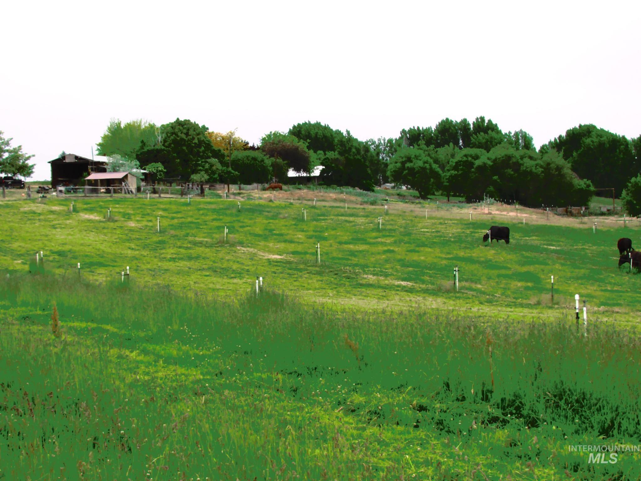 246 Evergreen Road Ontario, OR 97914 - Photo 4 of 31