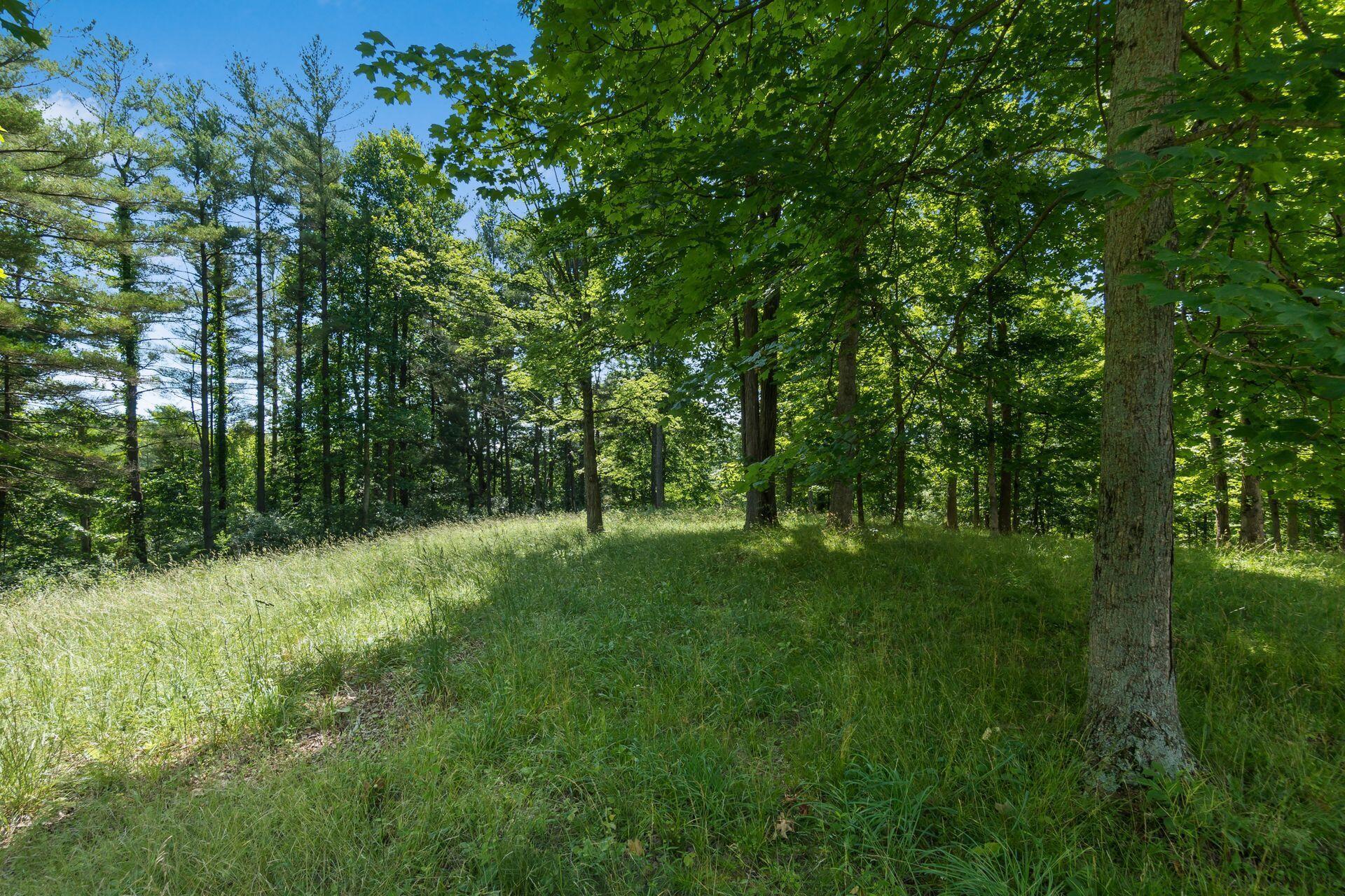 770 Standpipe Road Jackson, OH 45640 - Photo 77 of 143